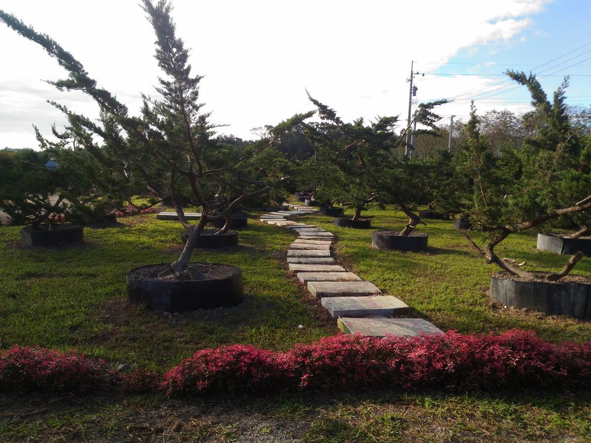 Du Du Hao B&B หลูยี่ ภายนอก รูปภาพ