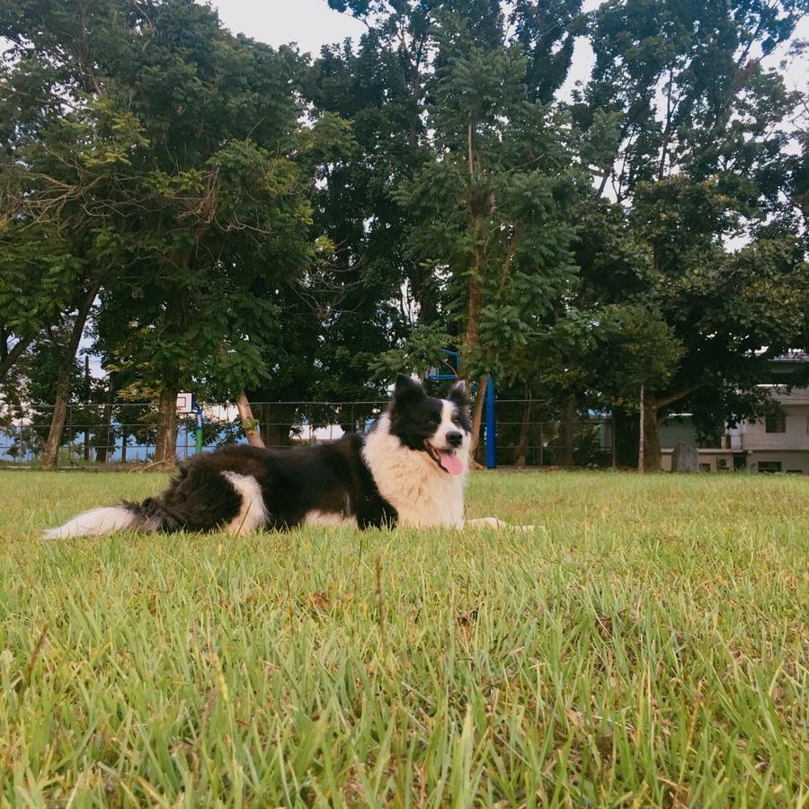 Du Du Hao B&B หลูยี่ ภายนอก รูปภาพ